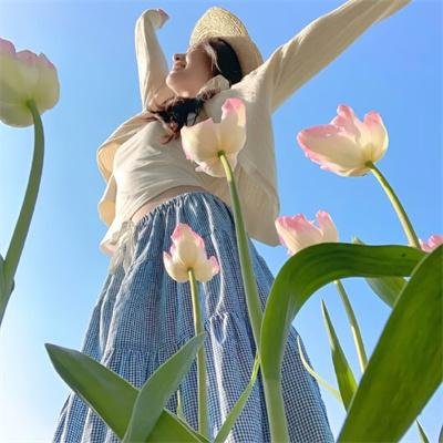 野狼历险记